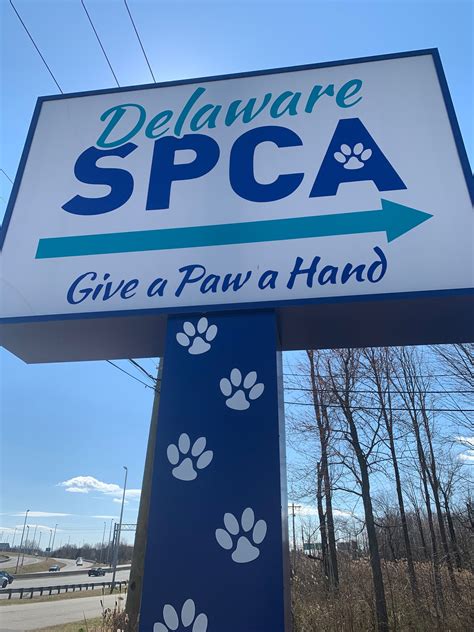 Delaware spca - 0:03. 0:51. After years of political infighting, the state's two largest animal shelters – First State Animal Center and SPCA and Delaware SPCA – are no longer housing stray animals picked up ...